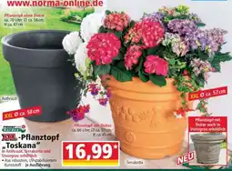 Norma XXL-Pflanztopf „Toskana“ Angebot