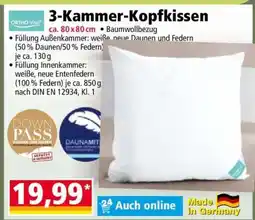 Norma 3-Kammer- Kopfkissen Angebot
