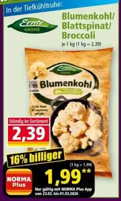 Norma Blumenkohl/Blattspinat/Broccoli Angebot