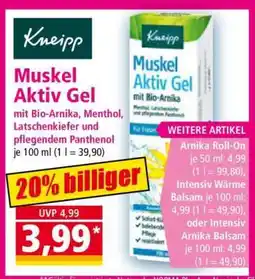 Norma Muskel Aktiv Gel Angebot