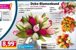 Norma bella casa Deko-Blumenbund Angebot