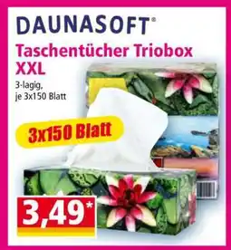 Norma Taschentücher Triobox XXL Angebot