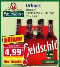 Norma Urbock Angebot