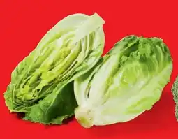 Lidl Mini-Romana-Salat­herzen Angebot