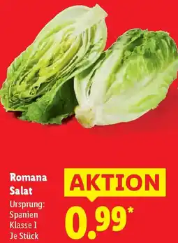 Lidl Romana Salat Angebot