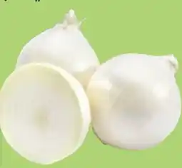 Thomas Philipps Steckzwiebeln Snowball Angebot