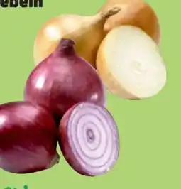 Thomas Philipps Steckzwiebeln Pinotage Angebot