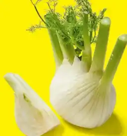 Lidl Fenchel Angebot