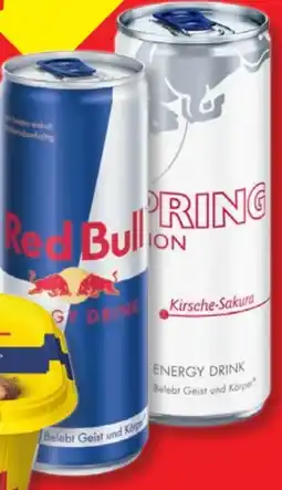 Lidl Red Bull Energy Drink Angebot