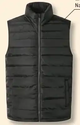 Lidl Esmara Herren Steppweste Angebot