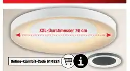 Ostermann LED-Deckenleuchte Anika Angebot