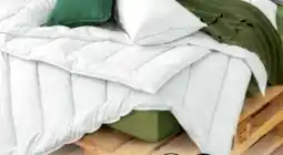 Ostermann Centa-Star Ganzjahresbett Veggie Angebot