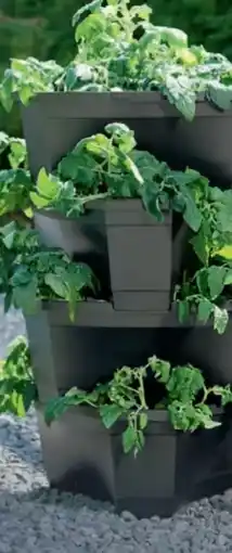 B1 Discount Baumarkt Kartoffel- und Pflanzturm Angebot