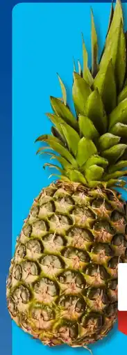 Aldi Süd Ananas Angebot