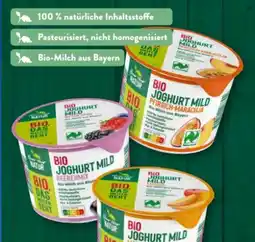 Aldi Süd Nur Natur Bio-Joghurt Angebot