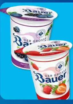 Aldi Süd Bauer Der Große Angebot