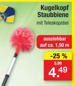 Zimmermann Kugelkopf staubbiene Angebot