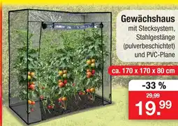 Zimmermann Gewächshaus Angebot