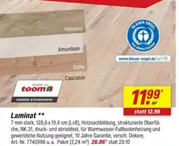 toom Baumarkt Toom laminat Angebot