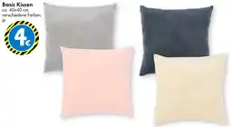 TEDi Basic Kissen Angebot