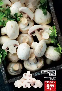 Handelshof CHAMPIGNONS WEISS Angebot