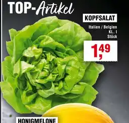 Handelshof KOPFSALAT Angebot