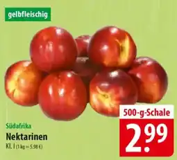 Famila Nord Ost Nektarinen Angebot