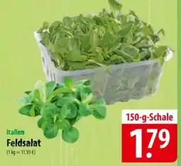 Famila Nord Ost Italien Feldsalat Angebot