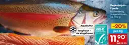 Netto Marken-Discount Frische Regenbogen-Forelle Angebot