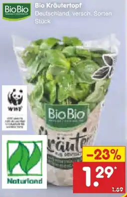 Netto Marken-Discount BioBio Bio-Kräutertopf Angebot