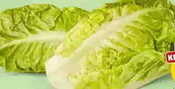 PENNY Marktliebe Romana Salatherzen Angebot