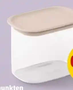 PENNY Brabantia Stapelbarer Angebot