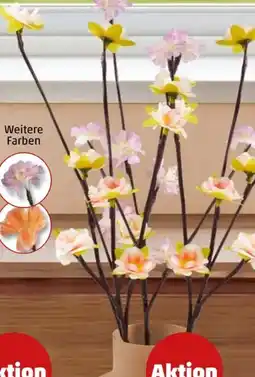 PENNY Home Ideas Living LED-Leuchtzweige Angebot