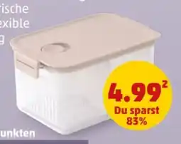 PENNY Brabantia Kühlschrank Frischhalteboxen Angebot
