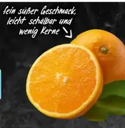 AEZ Orangen Angebot