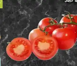 AEZ Strauchtomaten Angebot