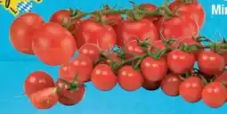 E-Center Cherry Rispentomaten Angebot