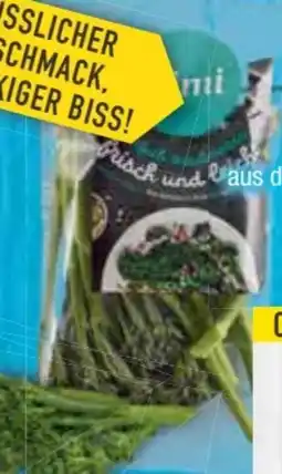 E-Center Stangenbrokkoli Angebot