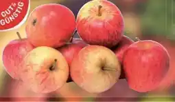 E-Center Gut & Günstig Tafeläpfel Braeburn Angebot