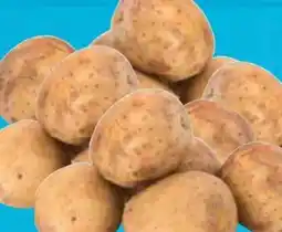 E-Center Bio-Speisekartoffeln Angebot