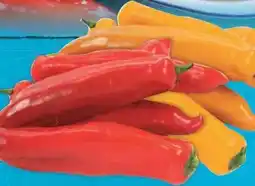 E-Center Spitzpaprika-Mix Angebot