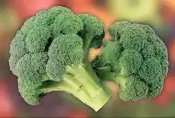 E-Center Gut & Günstig Brokkoli Angebot