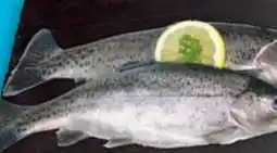 E-Center Frische Forelle Angebot