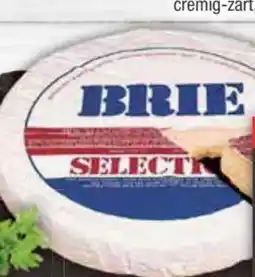 E-Center Tortenbrie Weichkäse Angebot