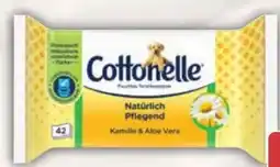 AEZ Cottonelle Feuchtes Toilettenpapier Angebot