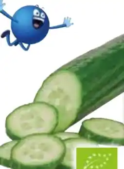 Edeka Bio-Gurke Angebot