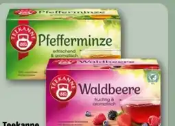 REWE Center Teekanne Kräutertee Pfefferminze Angebot