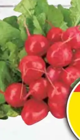 E-Center Radieschen Angebot