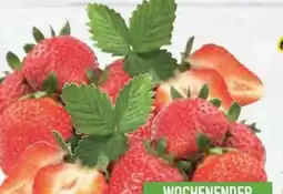 E-Center Erdbeeren Angebot