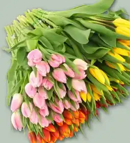 REWE Center Tulpenstrauß Harmonie Angebot